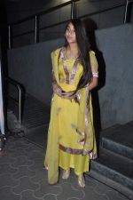 at Meri Shaadi Kara Do premiere in Cinemax, Mumbai on 3rd Jan 2013 (130).JPG